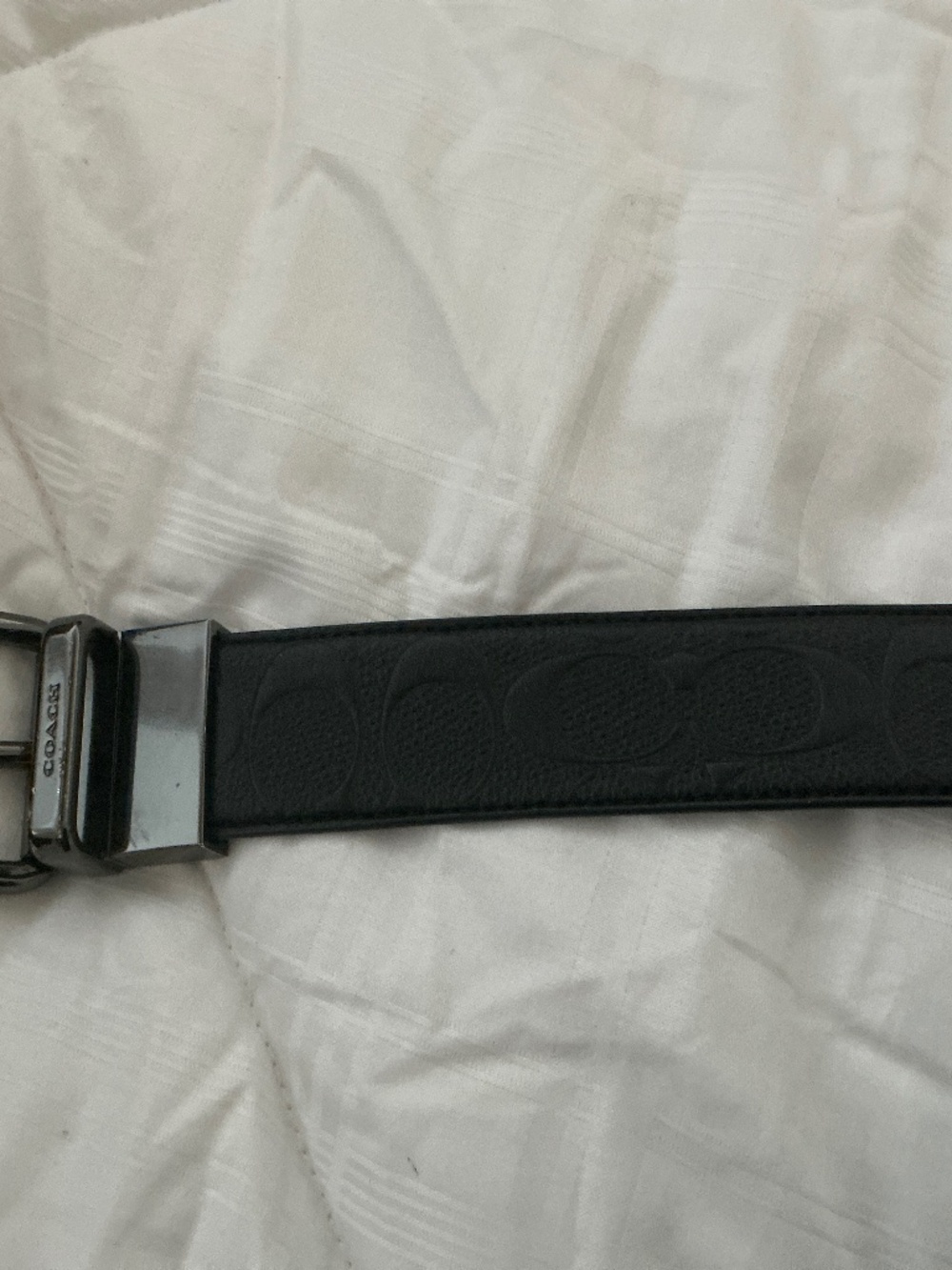 Coach belt